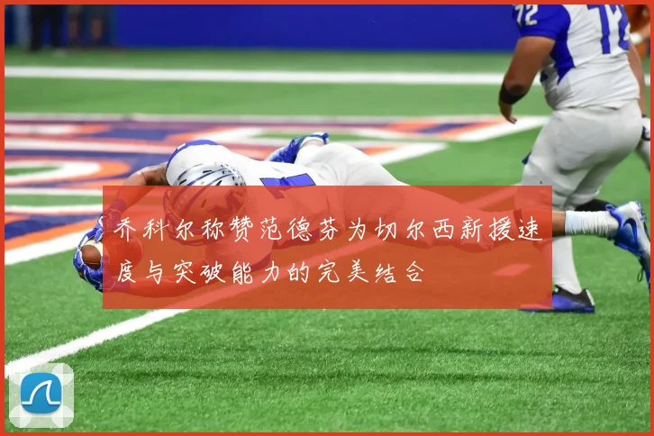 乔科尔称赞范德芬为切尔西新援速度与突破能力的完美结合